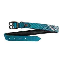 Nylon 1-in Dog Collar with Textilene and Padding  Kensington